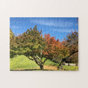 Puzzle Érable coloré en automne