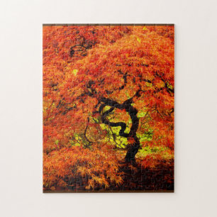 Puzzle Érable japonais à l'automne Automne Orange Challen