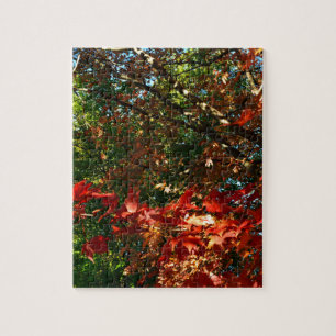 Puzzle Érable japonais, arbre d'automne feuilles