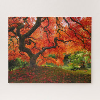 Puzzle Érable rouge en automne à Portland Jardin japonais