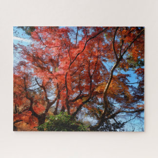 Puzzle Érables Japonais