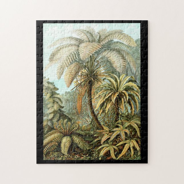 Puzzle Ernst Haeckel Filicinae (Vertical)