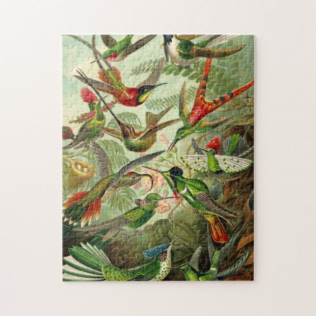 Puzzle Ernst Haeckel Trochilidae (Vertical)