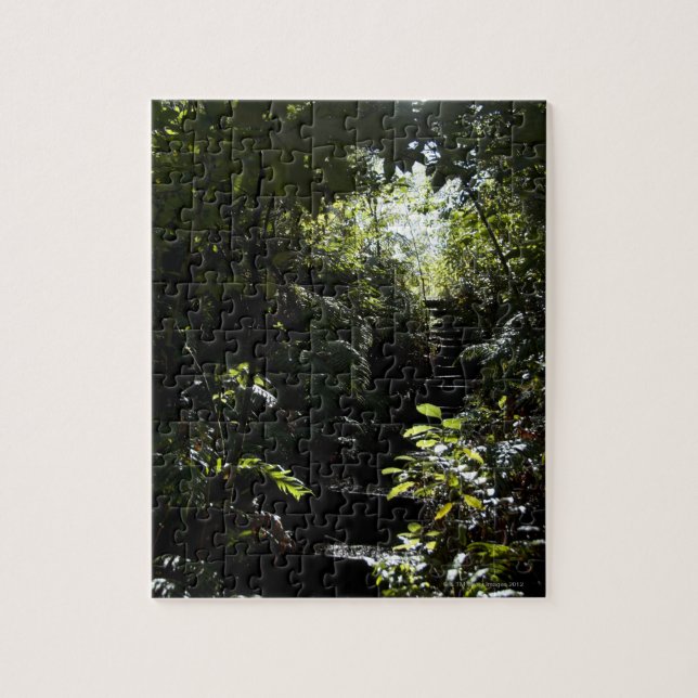 Puzzle Escalier/sentier piéton rustiques dans la forêt, (Vertical)