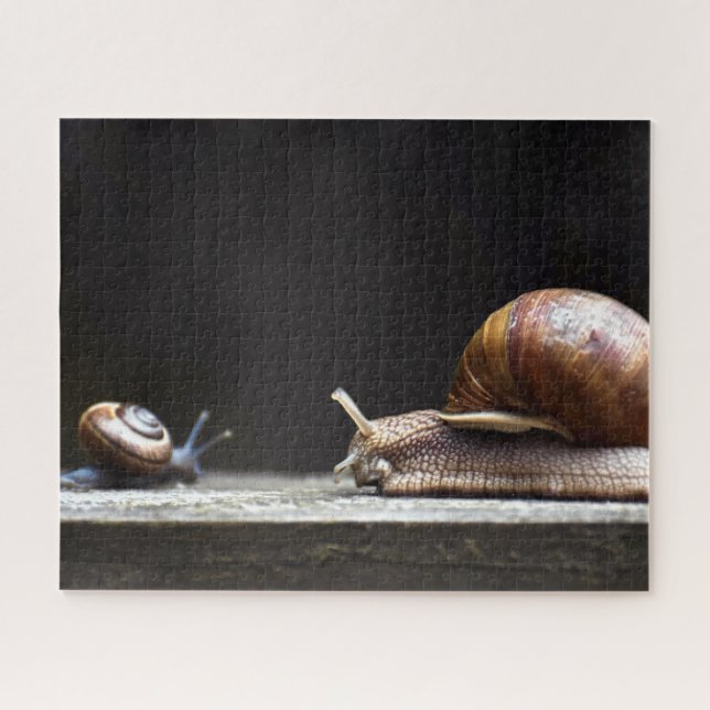 Puzzle Escargots - Mollusk d'escargots (Horizontal)