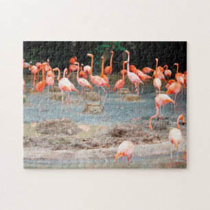 Puzzle Étang aux flamants roses Singapour.
