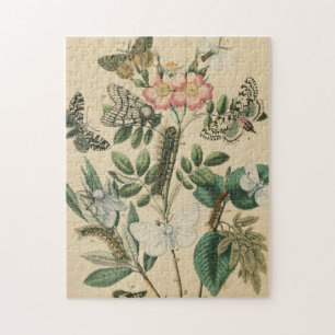 Puzzle Étapes de la vie des papillons par Vision Studio