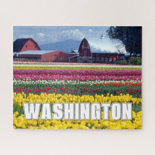 Puzzle État de Washington | Champ de tulipe (Horizontal)