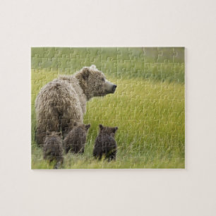 Puzzle États-Unis, Alaska, parc national de Lake Clark. G