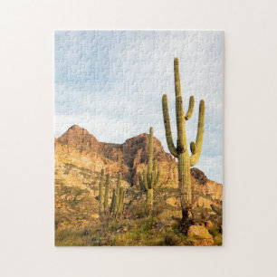Puzzle États-Unis, Arizona, Tonto National Forest, Picke