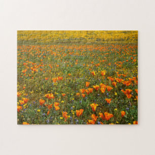 Puzzle États-Unis, Californie, Antelope Valley, Californ