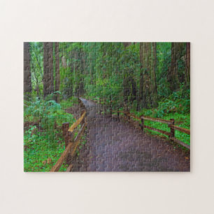 Puzzle États-Unis, Californie. Chemin parmi les séquoia