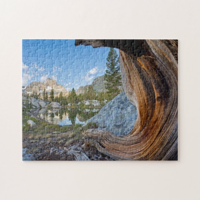 Puzzle États-Unis, Californie, forêt nationale d'Inyo. An (Horizontal)
