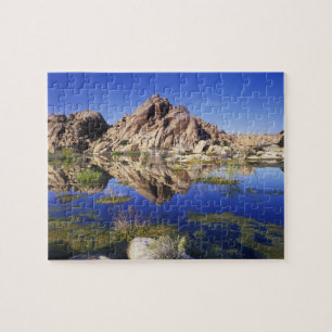 Puzzle États-Unis, Californie, Parc national de Joshua Tr