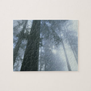 Puzzle États-Unis, Californie, Parc national de Redwood,