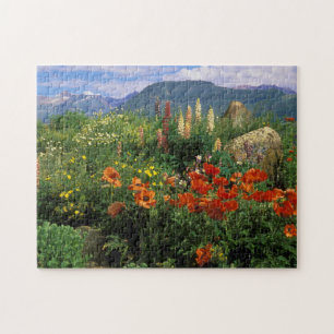 Puzzle États-Unis, Colorado, Crested Butte. Pavots et lup