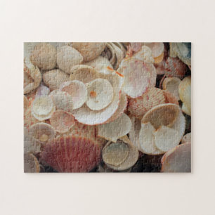 Puzzle États-Unis, Floride. Gros plan de coquillages sur