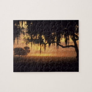 Puzzle États-Unis, Floride, lac Kissimmee. Silhouette au