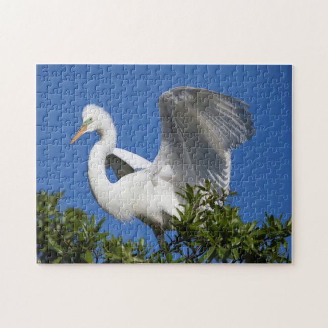 Puzzle États-Unis, Floride, St. Augustine, Aigrette (Horizontal)