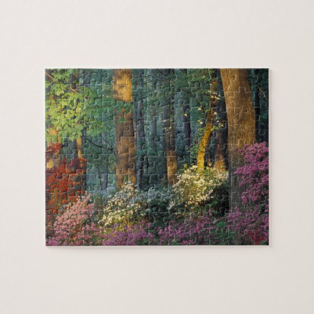 Puzzle États-Unis, Géorgie, Callaway Gardens, forêt d'Aza (Horizontal)