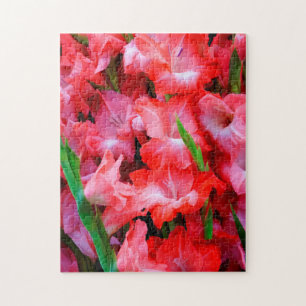 Puzzle États-Unis, Géorgie, Savannah, Bouquet de Glaïeuls