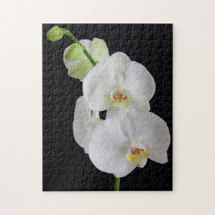 Puzzle États-Unis, Géorgie, Savannah, Piste D'Orchidées