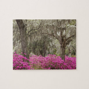 Puzzle États-Unis, Géorgie, Savannah, Printemps à l'histo
