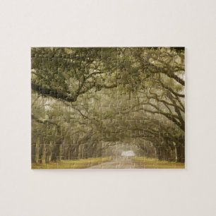 Puzzle États-Unis, Géorgie, Savannah, Une route bordée de
