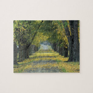 Puzzle États-Unis, Kentucky, Louisville. Route bordée d