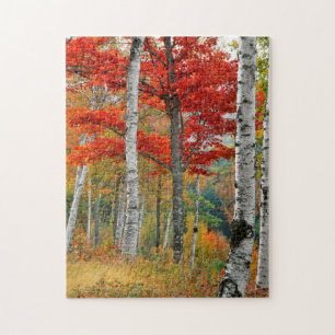 Puzzle États-Unis, Maine, lac Wyman. Forêt de bouleau