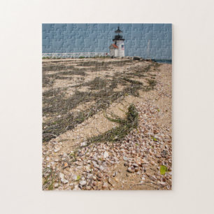 Puzzle États-Unis, Massachusetts, Nantucket. Coquillage