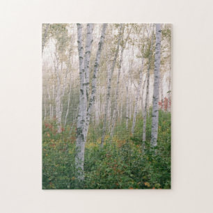 Puzzle États-Unis, New Hampshire. Les bouleaux dans le b