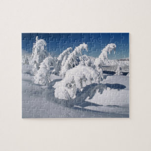 Puzzle États-Unis, Oregon, Crater Lake NP. Les arbres plo