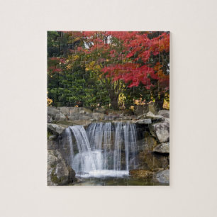 Puzzle États-Unis, Redmond, Washington. Couleur d'automne