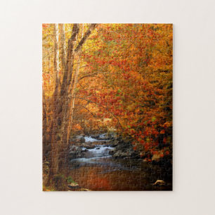 Puzzle États-Unis, Tennessee. Ruisseau Rushing Mountain 2