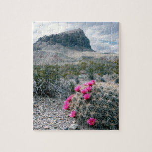 Puzzle États-Unis, Texas, Parc national de Big Bend. Flor