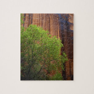 Puzzle États-Unis, Utah, Paria Canyon- Vermillion Cliffs