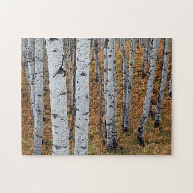 Puzzle États-Unis, Utah, Uinta-Wasatch-Cache National For (Horizontal)