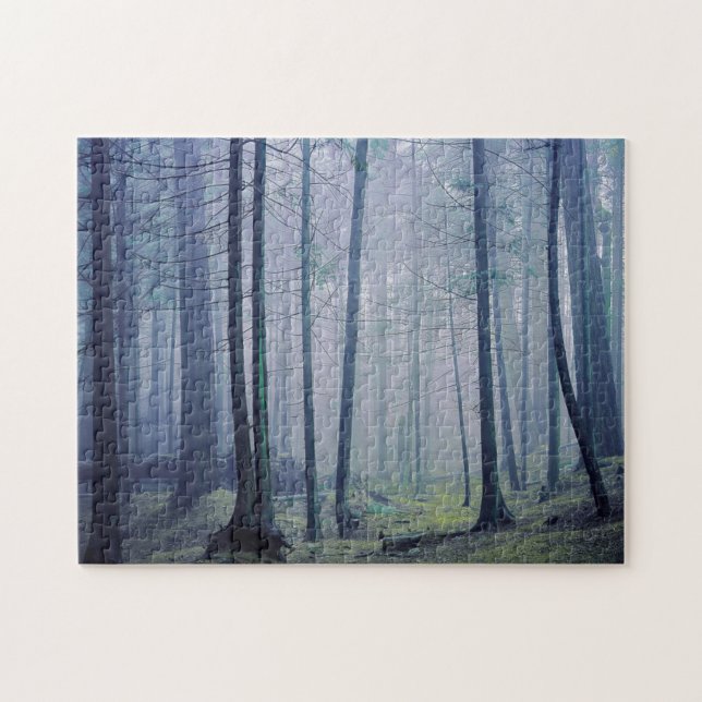 Puzzle États-Unis, Washington, Orcas Island, Moran State  (Horizontal)