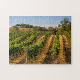 Puzzle États-Unis, Washington oriental, vignobles Walla W