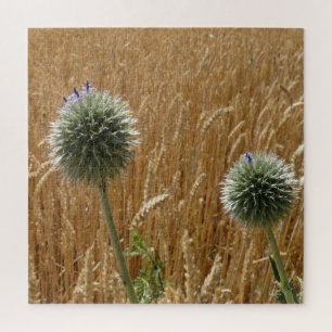 Puzzle été, agriculture, champ, nature, paysage,