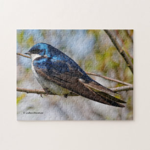 Puzzle Étonnant oiseau-chanteur d'hirondelle d'arbre sur 