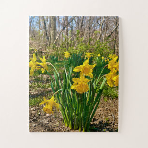 Puzzle Étreinte dorée Floraison de jonquilles au printe
