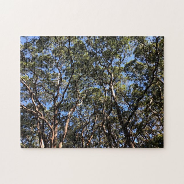 Puzzle eucalypse (Horizontal)