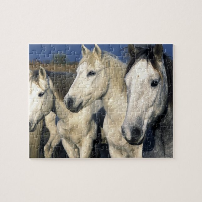 Puzzle Europe, France, Ile de la Camargue. Camargue 3 (Horizontal)