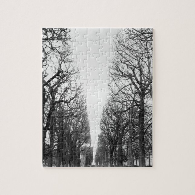 Puzzle Europe, France, Paris. Les arbres d'hiver, Marco P (Vertical)
