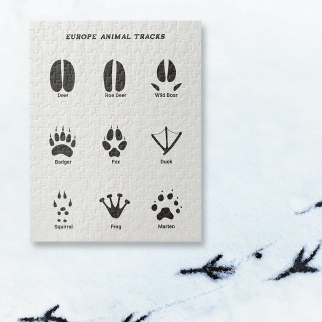 Puzzle Europe - Les traces des animaux (Europe Animal Tracks Puzzle)