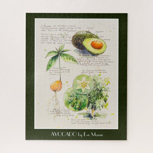 Puzzle EVE Peint Avocado illustration botanique Poster (Vertical)