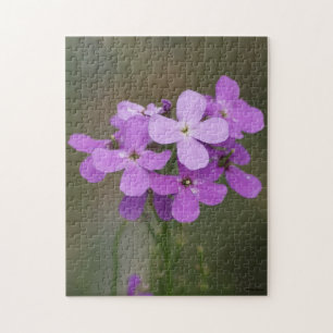 Puzzle F19 Fleurs sauvages violettes Fusée des dames