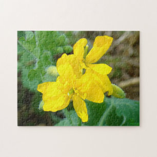 Puzzle F44 Fleurs sauvages jaunes Moutarde sauvage